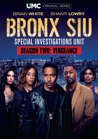 Бронкс: отдел спецрасследований 2 сезон 6 серия